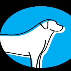 pawsome dog care